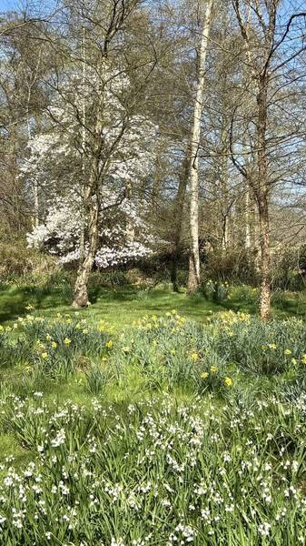 Preview of London Loop Section 9