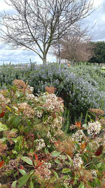 Preview of Waterside Wander in Woolwich	