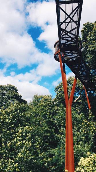 Preview of Highlights from Kew Gardens